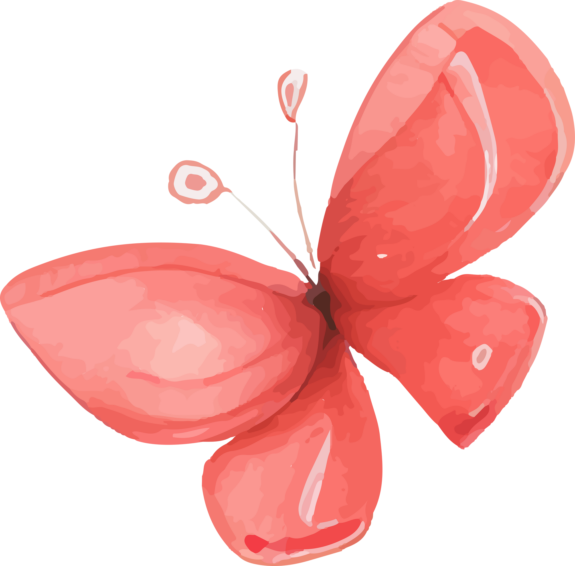 Red Butterfly Watercolor Illustration